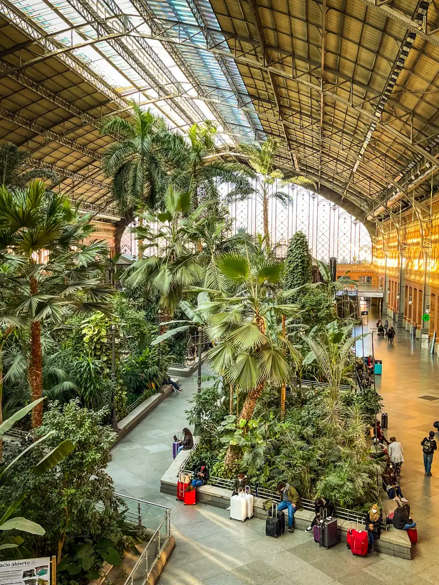 inside atocha station in madrid with tons of tropical trees and plans in the middle of the old railway area.