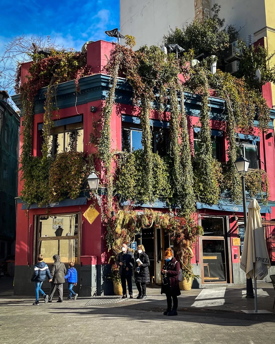 colorful pink building with vines of green plants draping down the sides of the building from the rooftop.